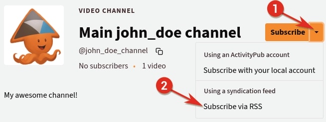 Popover presenting options to follow a channel via syndication feeds